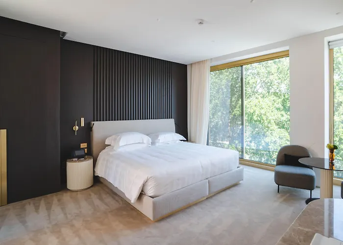 The First Musica - Preferred & 5*